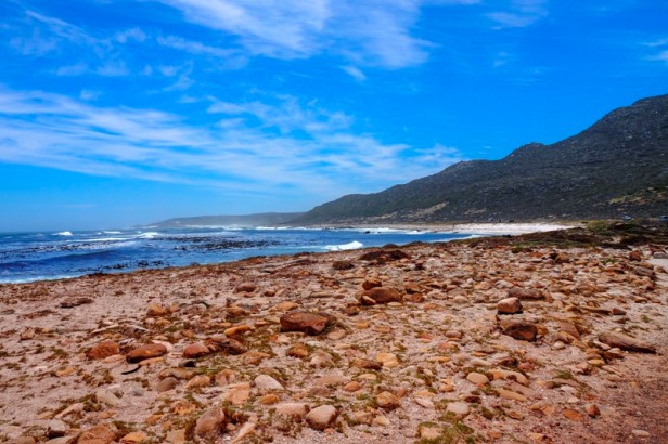 a beach at Cape Point National Park South Africa