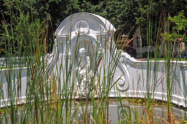 Company gardens in Cape Town