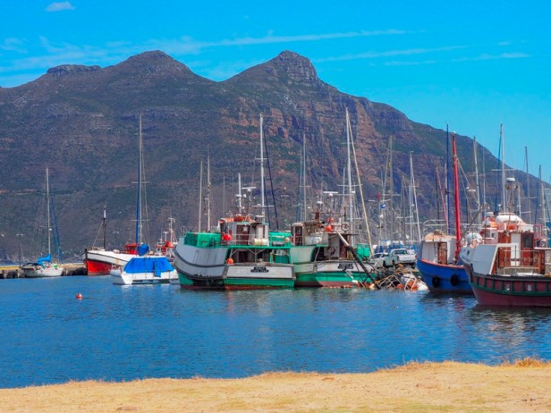 kalk bay harbour in south africa