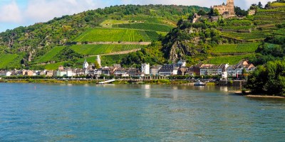 an historic town and castle in the German Rhine valley