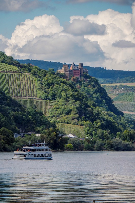 a view of Castle Schönburg in the Rhine Valley in Germany