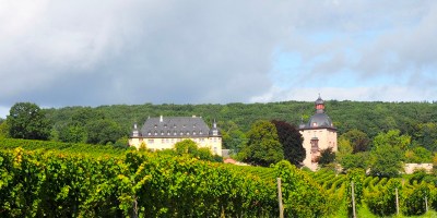 a view at Schloss Vollrads in Rheingau