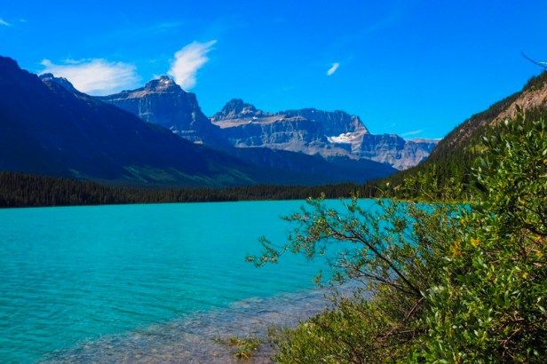 Bow Lake along Icefields Parkway