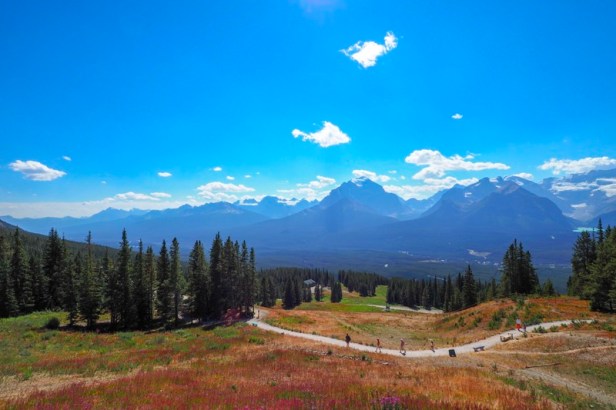 view from Mount Whitehorn in Jasper National Park