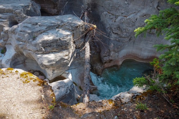 Maligne Canyon in Banff National Park