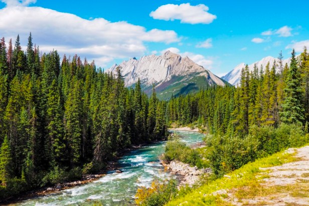 view along Maligne Road