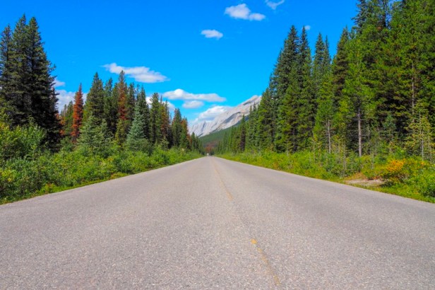 a view driving along Maligne Road