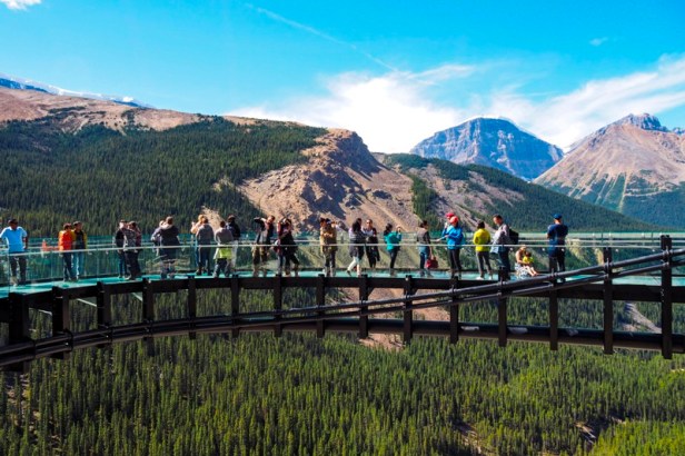 Icefields Parkway Skywalk