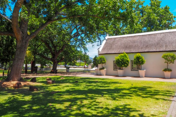 Allee Bleu Wine Estate, Western Cape