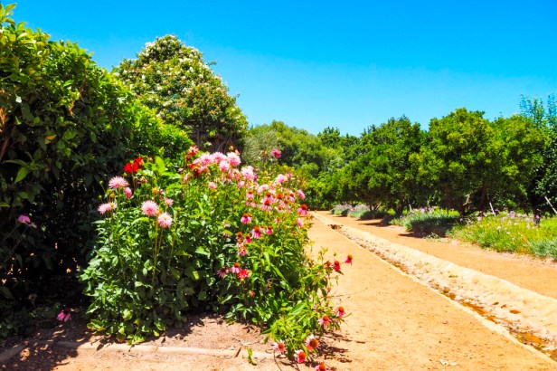Babylonstoren, Western Cape