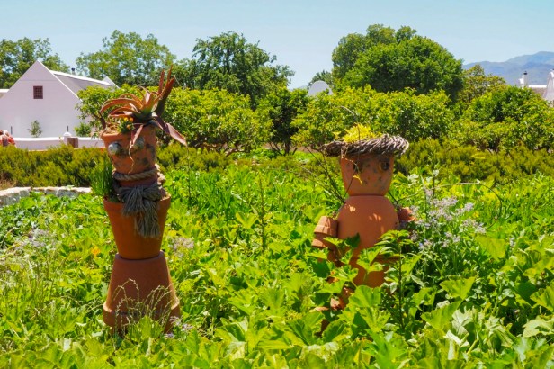 Babylonstoren, Western Cape