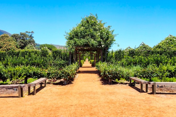 Babylonstoren, Western Cape