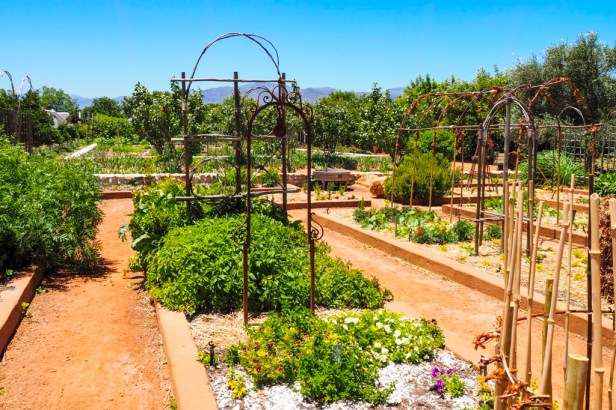 Babylonstoren, Western Cape