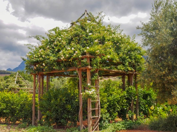 Babylonstoren, Western Cape