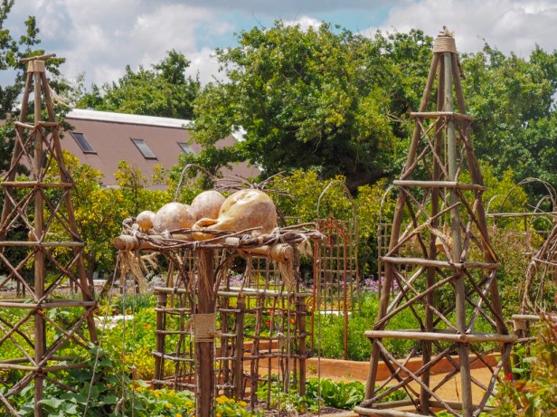 Babylonstoren, Western Cape