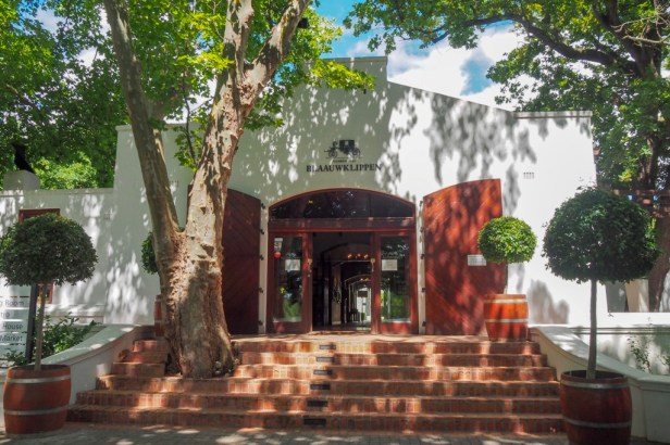 Blaauwklippen Vineyards, Western Cape Winelands