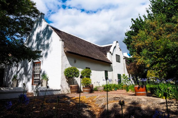 Blaauwklippen Vineyards, Western Cape Winelands