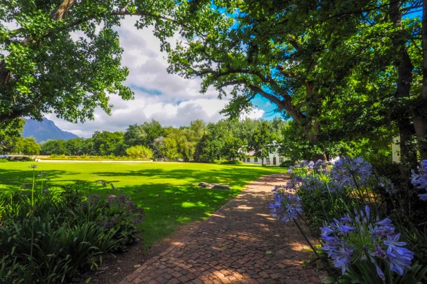 Blaauwklippen Vineyards, Western Cape Winelands