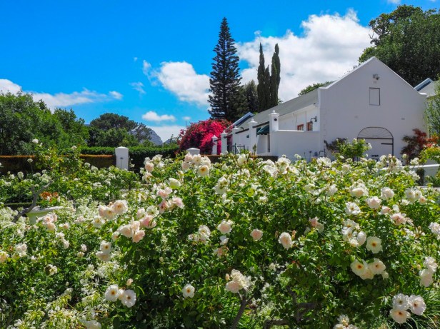 Cellars-Hohenort Hotel, Constantia Valley, Cape Town