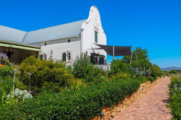 Dornier Wines, Western Cape