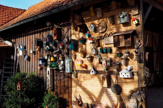 Schafhof Amorbach Odenwald