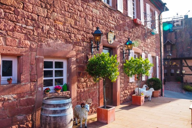 Schafhof Amorbach, Odenwald