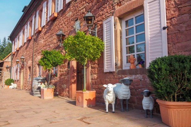 Schafhof Amorbach Odenwald