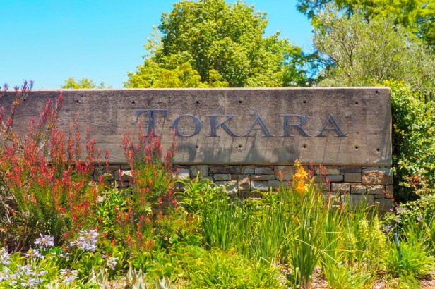 Tokara, Western Cape