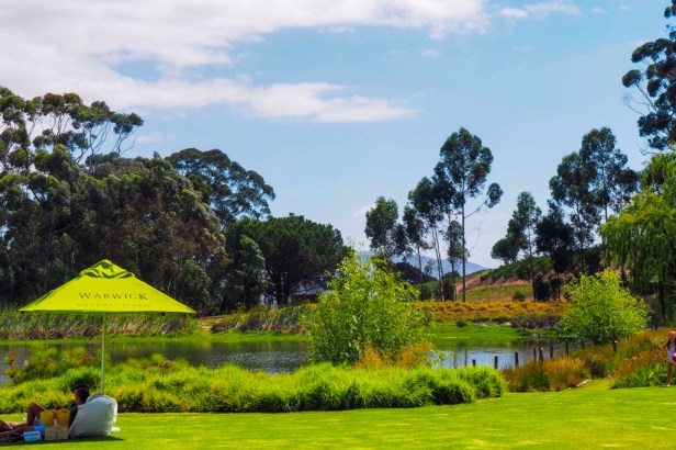 Warwick Wine Estate, Western Cape