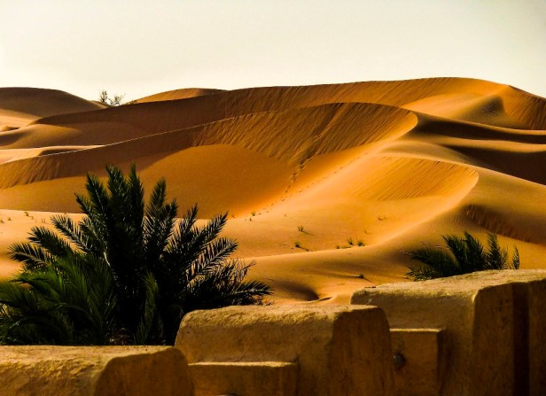 Dubai desert tour