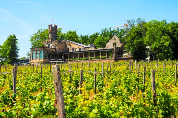 Hotel Burg Schwarzenstein, Rheingau, Germany