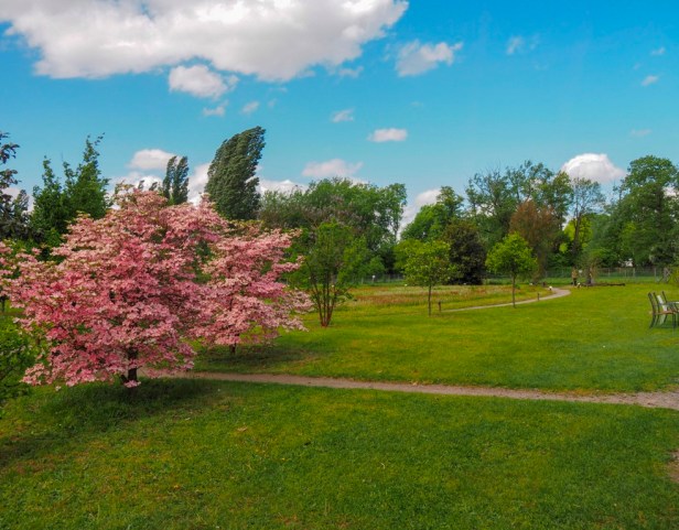 Mhou Ostrich Farm, Rülzheim, Germany