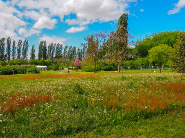 Mhou Ostrich Farm, Rülzheim, Germany