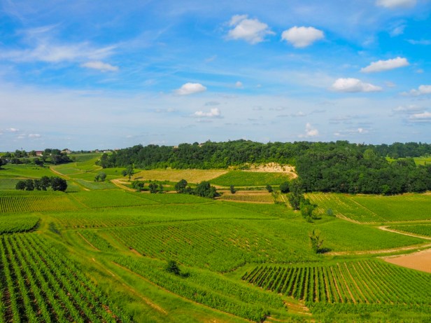 Saint Emilion, Bordeaux