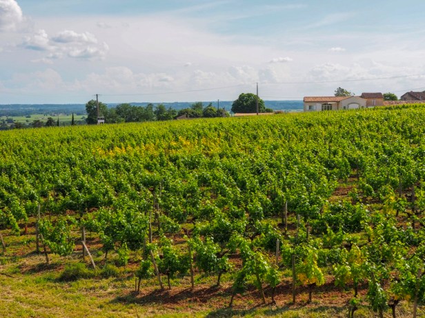 Saint Emilion, Bordeaux