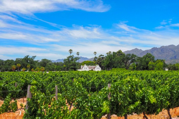 Winelands, Western Cape