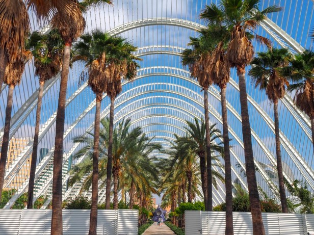 City of Arts and Sciences, Valencia