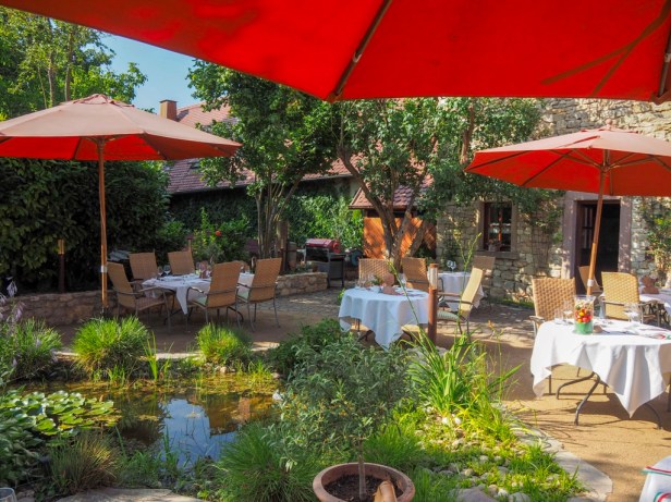 Immerheiser Wein, Rheinhessen