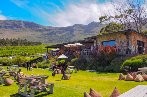 Cape Point Vineyards, Cape Town