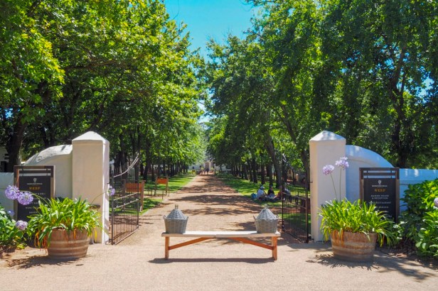 Boschendal Wine Farm