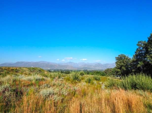 Boschendal Wine Farm