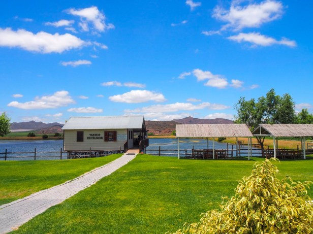 Excelsior, Robertson Wine Valley