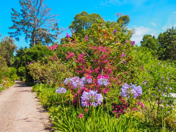 Hunters Country House