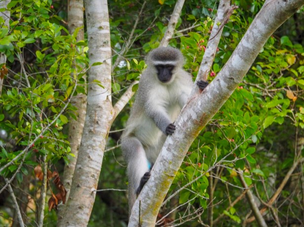 Hunters Country House