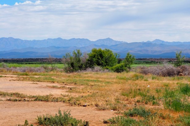 Klein Karoo, South Africa