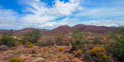 Klein Karoo, South Africa
