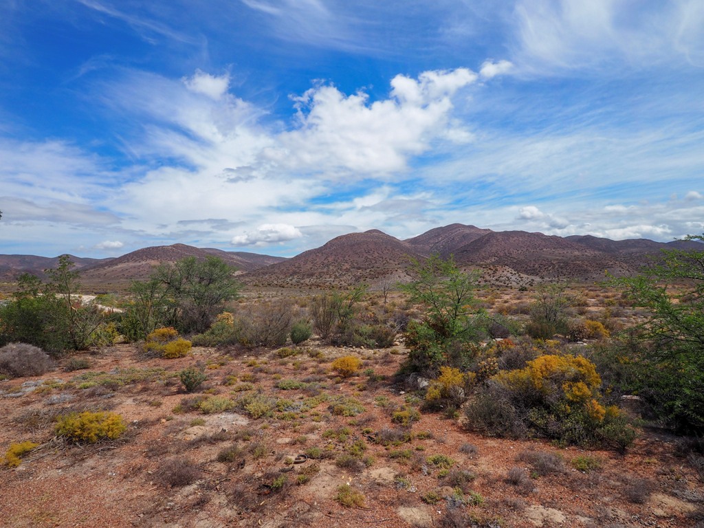 Exploring the Garden Route: The Western Cape’s Scenic Coastal Journey https://carrotsandtigers.com/wp-content/uploads/2019/01/klein-karoo-02.jpg?utm_source=chatgpt.com