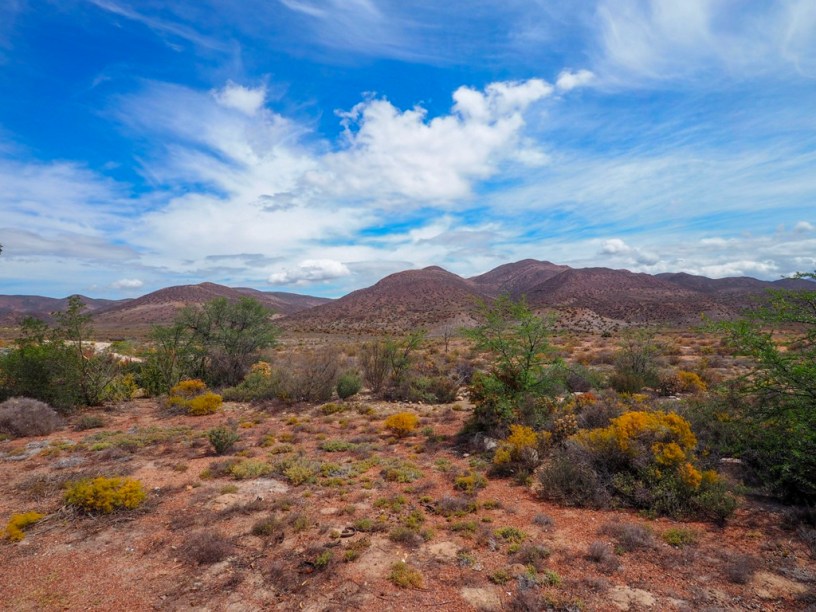 Klein Karoo, South Africa