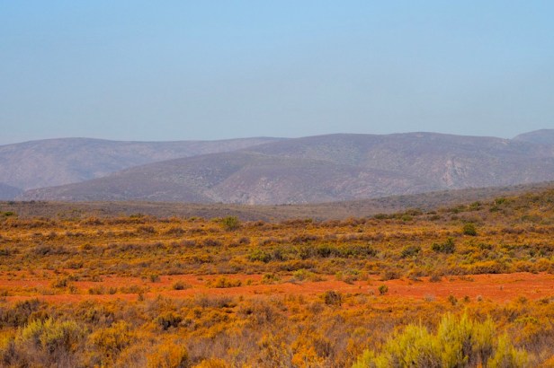 Klein Karoo, South Africa