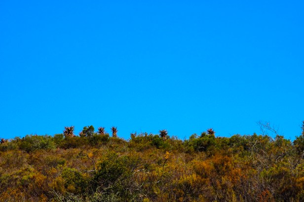 Klein Karoo, South Africa